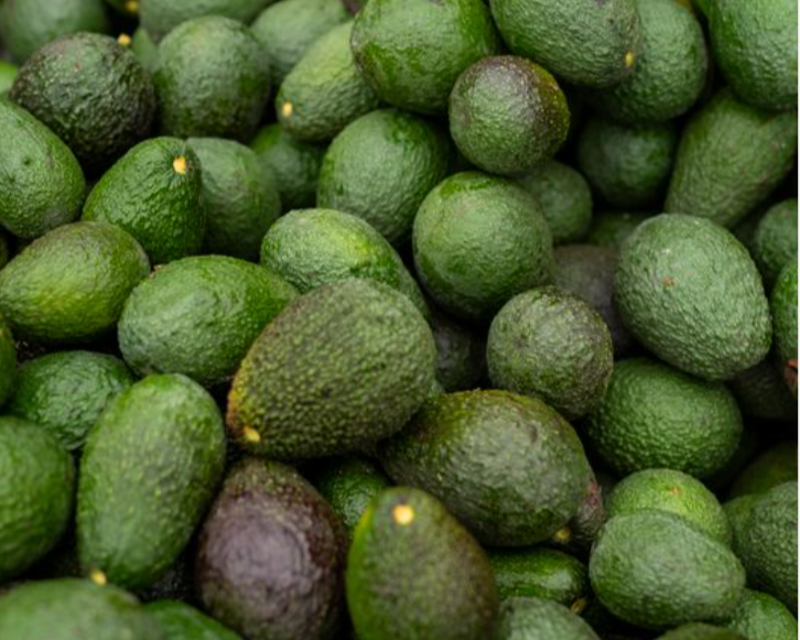 Avocado Oil