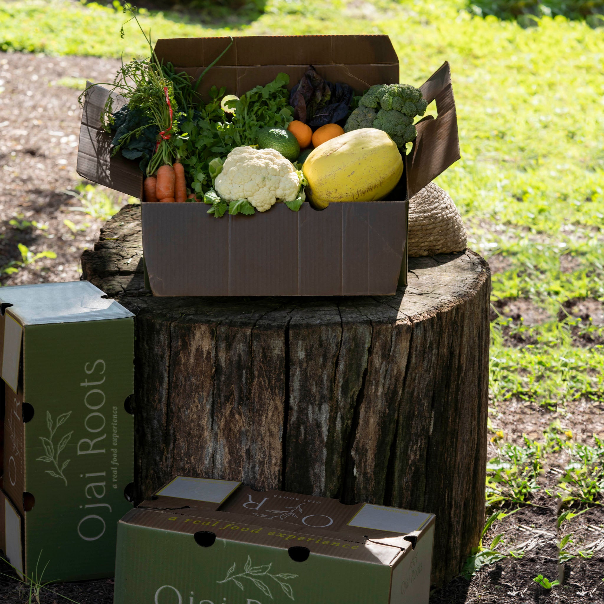 4-Week Farm Box Bundle