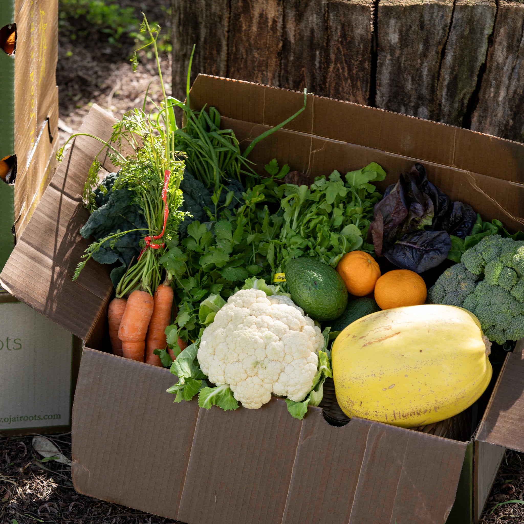 Friday Farm Box